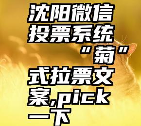 沈阳微信投票系统   “菊”式拉票文案,pick一下