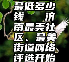 微信投票最低多少钱   济南最美社区、最美街道网络评选开始了