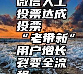 微信人工投票达成投票   “老带新”用户增长裂变全流程