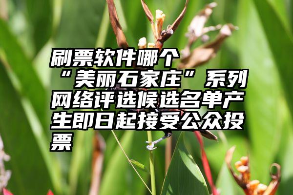 刷票软件哪个   “美丽石家庄”系列网络评选候选名单产生即日起接受公众投票