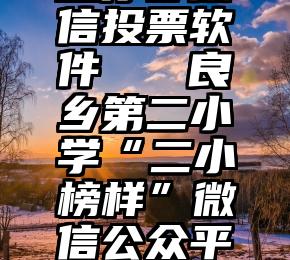 愿你梦微信投票软件   良乡第二小学“二小榜样”微信公众平台投票