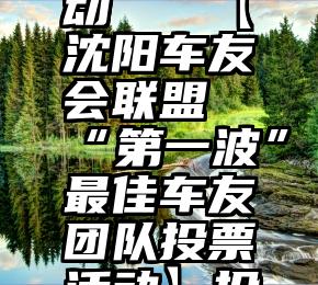 微信好用的投票活动   【沈阳车友会联盟“第一波”最佳车友团队投票活动】投票结果公告