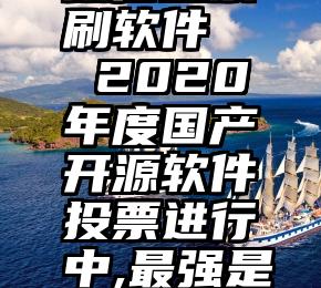 微信投票刷软件   2020年度国产开源软件投票进行中,最强是前端