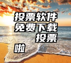 投票软件免费下载   投票啦