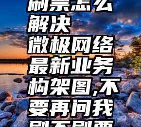 微信投票刷票怎么解决   微极网络最新业务构架图,不要再问我刷不刷票了!