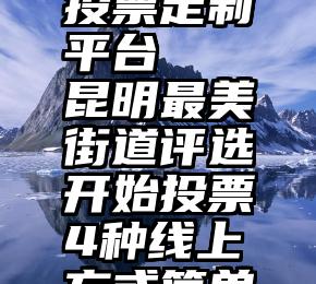 北大西洋公约组织究竟是甚么？（一）——从法律视角阐释