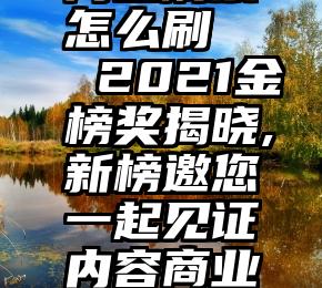 网上刷票怎么刷   2021金榜奖揭晓,新榜邀您一起见证内容商业的力量!