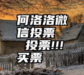 何洛洛微信投票   投票!!!买票