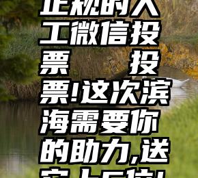 正规的人工微信投票   投票!这次滨海需要你的助力,送它上C位!