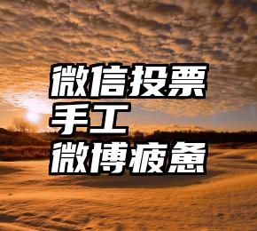 微信投票手工   微博疲惫