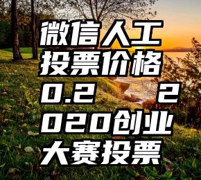 微信人工投票价格0.2   2020创业大赛投票