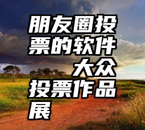 朋友圈投票的软件   大众投票作品展