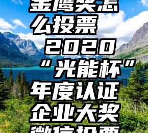 金鹰奖怎么投票   2020“光能杯”年度认证企业大奖微信投票