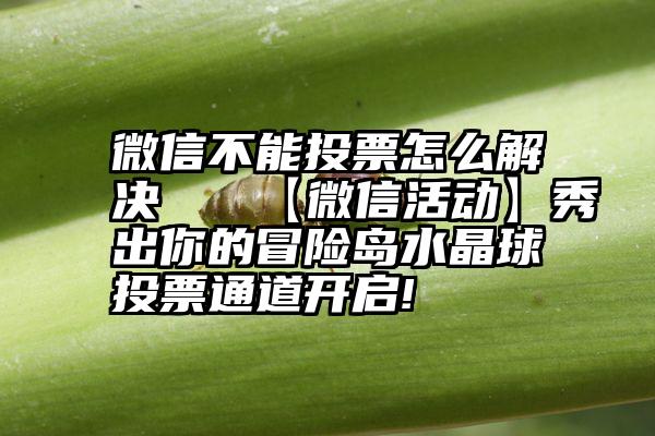 微信不能投票怎么解决   【微信活动】秀出你的冒险岛水晶球投票通道开启!