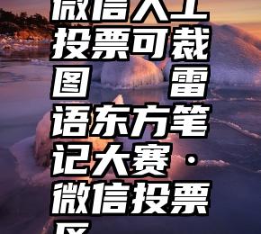 微信人工投票可裁图   雷语东方笔记大赛·微信投票区