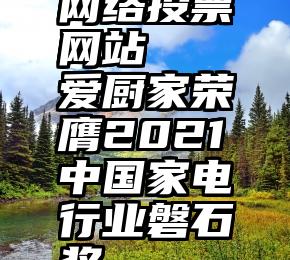 网络投票网站   爱厨家荣膺2021中国家电行业磐石奖