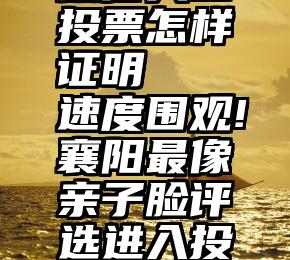 微信人工投票怎样证明   速度围观!襄阳最像亲子脸评选进入投票倒计时!