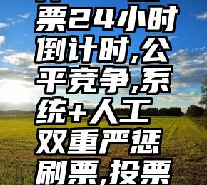 360微信刷投票软件   投票24小时倒计时,公平竞争,系统+人工双重严惩刷票,投票可以计数,友情无法衡量