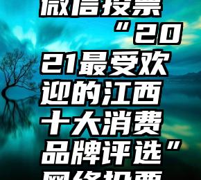 少儿节目微信投票   “2021最受欢迎的江西十大消费品牌评选”网络投票明日启动