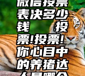 微信投票表决多少钱   投票!投票!你心目中的养猪达人是哪个