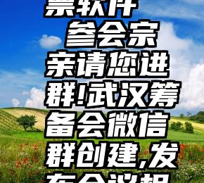 微信 刷票软件   参会宗亲请您进群!武汉筹备会微信群创建,发布会议相关信息