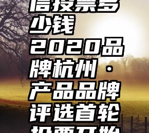 淘宝买微信投票多少钱   2020品牌杭州·产品品牌评选首轮投票开始啦!
