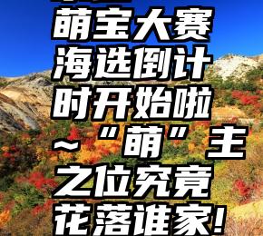 投票评分系统   萌宝大赛海选倒计时开始啦~“萌”主之位究竟花落谁家!尽请期待...