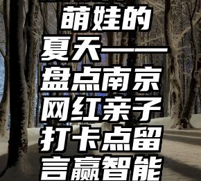 有没有投票软件   萌娃的夏天——盘点南京网红亲子打卡点留言赢智能家电(扫地机器人)