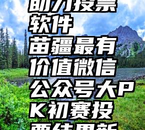 广东微信助力投票软件   苗疆最有价值微信公众号大PK初赛投票结果新鲜出炉