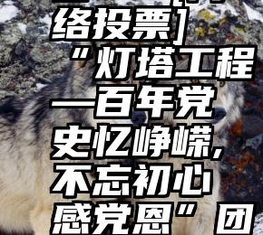 微信投票抢车票平台   [网络投票]“灯塔工程—百年党史忆峥嵘,不忘初心感党恩”团日活动人气团支部(一)