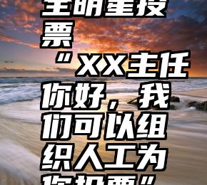 全明星投票   “XX主任你好，我们可以组织人工为你投票”