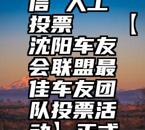 投票群微信 人工投票   【沈阳车友会联盟最佳车友团队投票活动】正式开始!