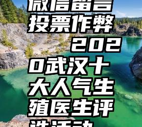 微信留言投票作弊   2020武汉十大人气生殖医生评选活动