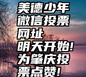 美德少年微信投票网址   明天开始!为肇庆投票点赞!