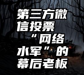 第三方微信投票   “网络水军”的幕后老板