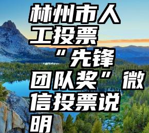 林州市人工投票   “先锋团队奖”微信投票说明