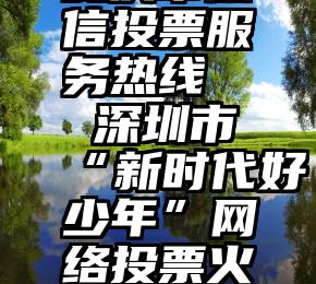 安庆市微信投票服务热线   深圳市“新时代好少年”网络投票火热进行中!