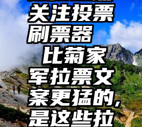 微信自动关注投票刷票器   比菊家军拉票文案更猛的,是这些拉票视频