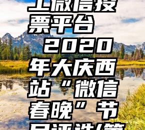 项城市人工微信投票平台   2020年大庆西站“微信春晚”节目评选(第五幕)