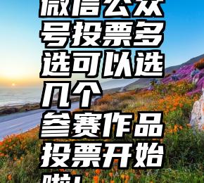 微信公众号投票多选可以选几个   参赛作品投票开始啦!