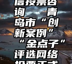 新密市微信投票咨询   青岛市“创新案例”“金点子”评选网络投票正式开启!