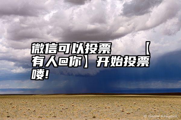 微信可以投票   【有人@你】开始投票喽!