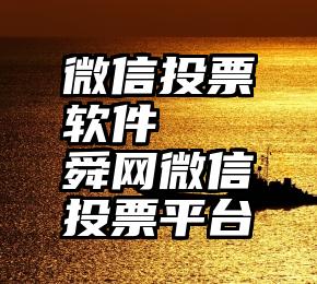 微信投票软件   舜网微信投票平台