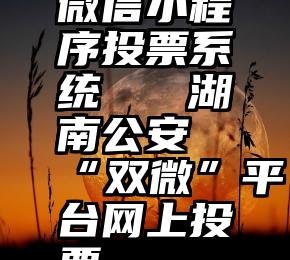 微信小程序投票系统   湖南公安“双微”平台网上投票