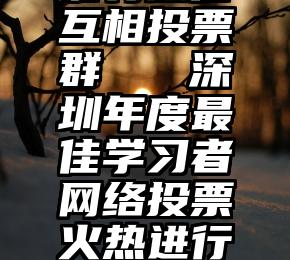 谁有微信互相投票群   深圳年度最佳学习者网络投票火热进行中…