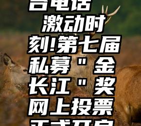 周口市微信投票平台电话   激动时刻!第七届私募＂金长江＂奖网上投票正式开启,谁最让你＂心动＂