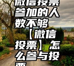 微信投票参加的人数不够   【微信投票】怎么参与投票