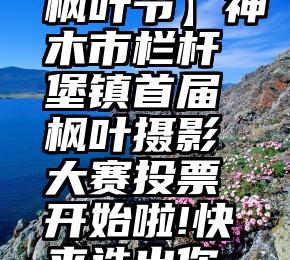 电视回看 i投票助刷票   【枫叶节】神木市栏杆堡镇首届枫叶摄影大赛投票开始啦!快来选出你最中意的“枫”景作品