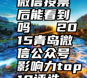 微信投票后能看到吗   2015青岛微信公众号影响力top10评选