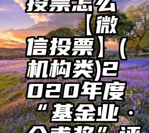 456微信投票怎么   【微信投票】(机构类)2020年度“基金业·介甫奖”评选